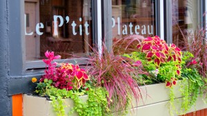 Le P'tit Plateau, Rue Drolet, Montreal
