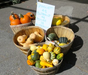 Pumpkins for Sale, Saint Hilaire, Quebec