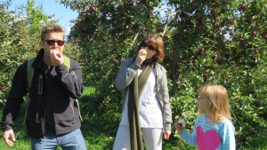 Eating apples at an orchard in Saint Hilaire