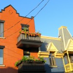 Sunlit houses, Le Plateau, Montreal