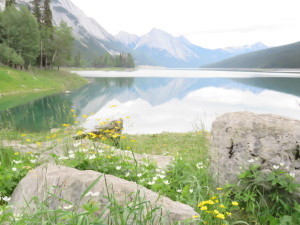 Moose Lake, Banff National Park, Canada