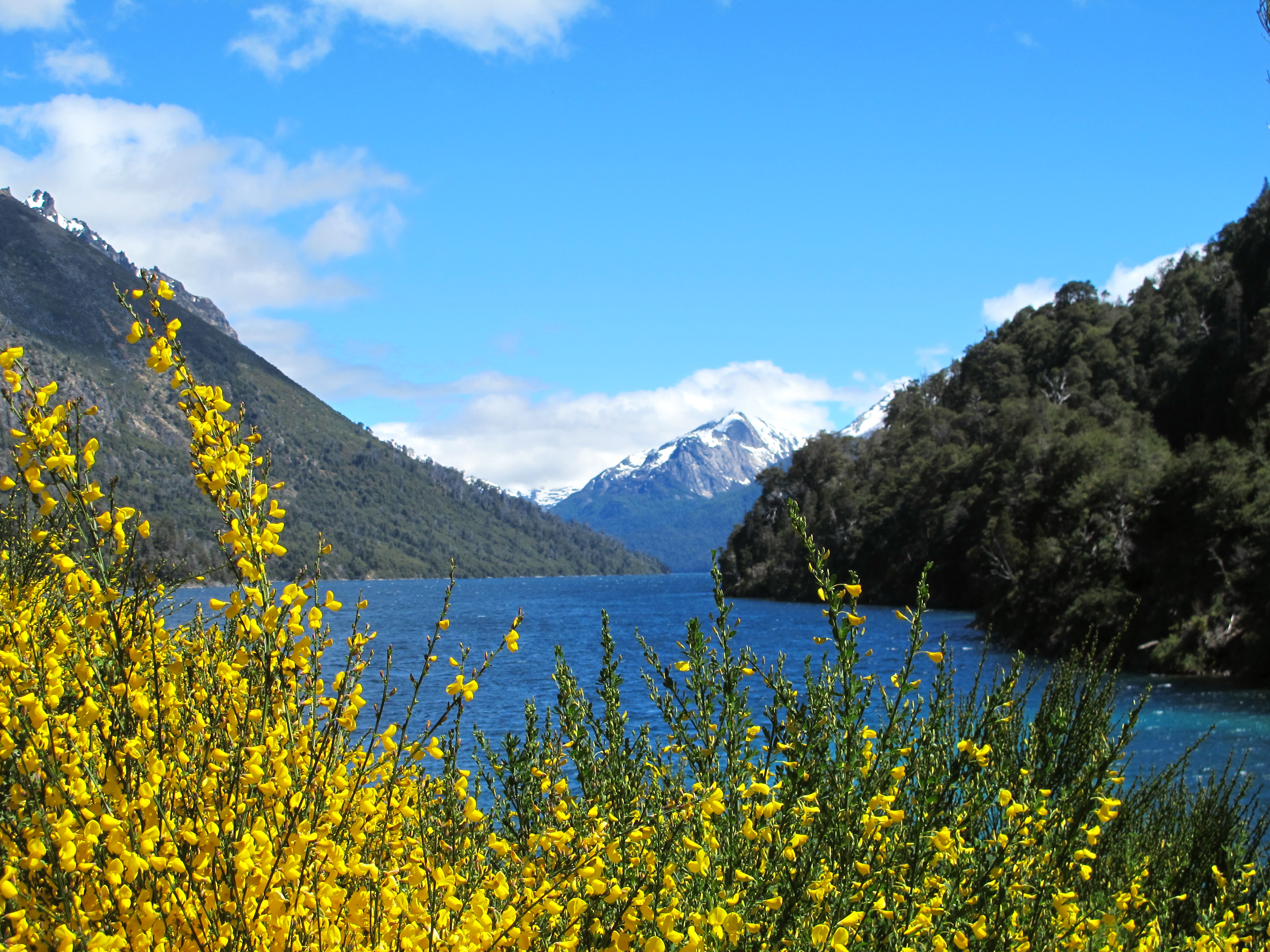 Lake Moreno, Bariloche Argentina